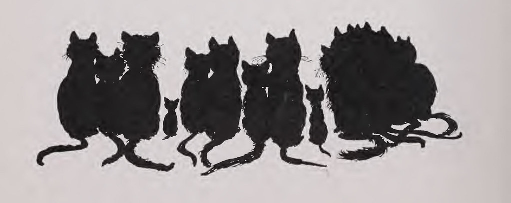 A cat, illustrating Reflective Night Collar