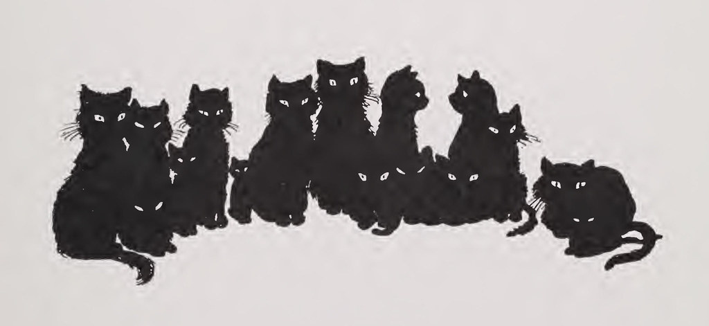 A cat, illustrating Tweed Gentleman Collar